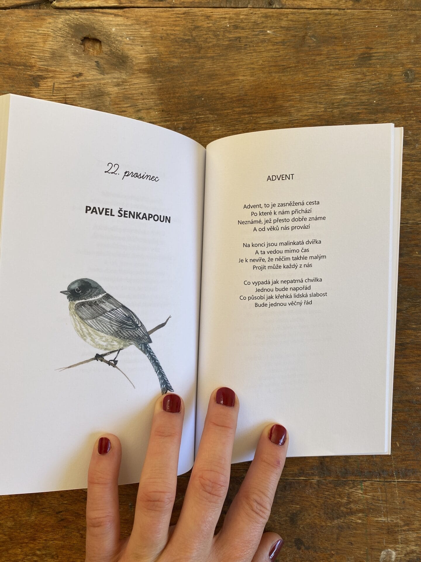 Almanach ZIMA, sbírka básní advetní kalendář - Obrázek 3