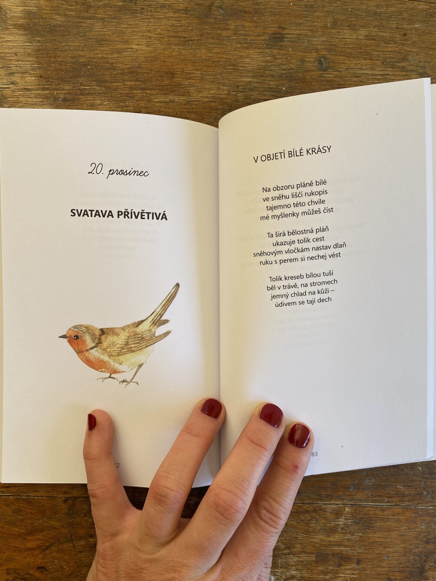 Almanach ZIMA, sbírka básní advetní kalendář - Obrázek 4