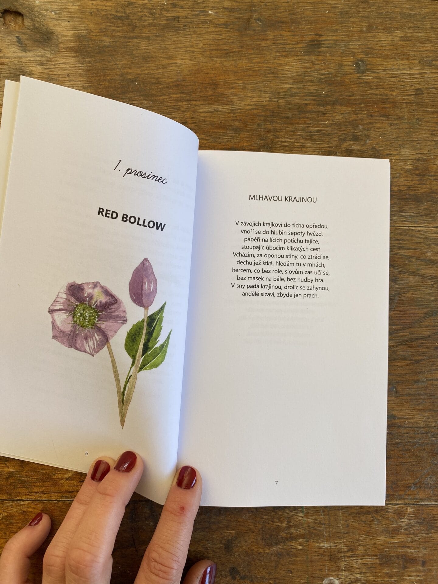 Almanach ZIMA, sbírka básní advetní kalendář - Obrázek 5